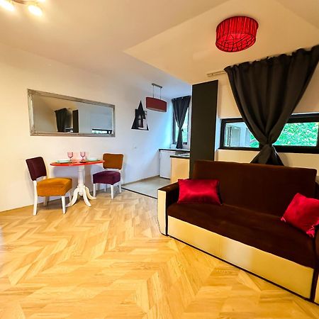 The Vintage - Wonderful Apartment In Best Location Craiova Exteriér fotografie