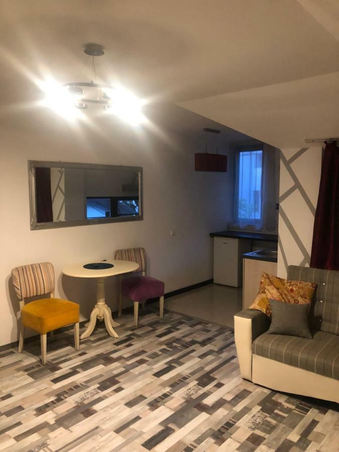 The Vintage - Wonderful Apartment In Best Location Craiova Exteriér fotografie